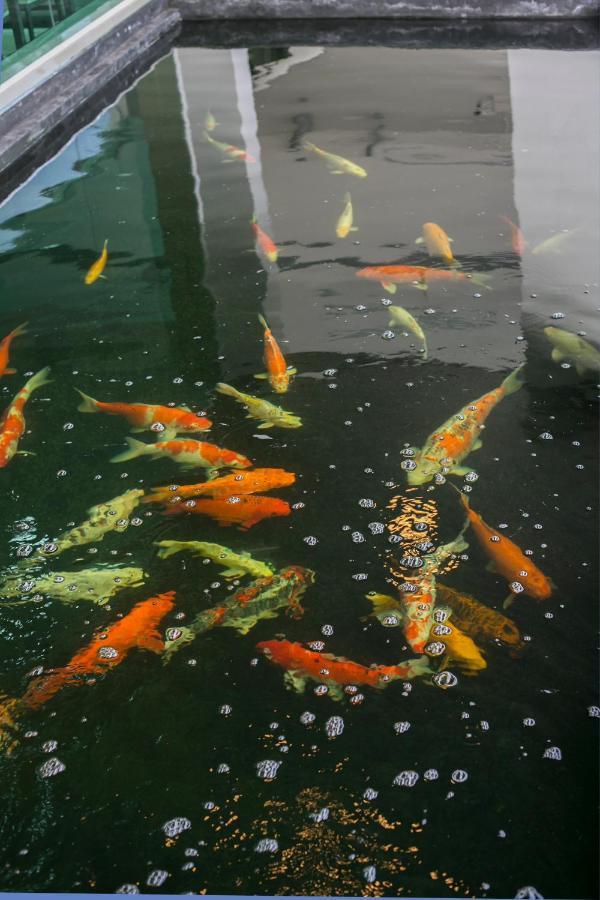 ตะวันอพาร์ทเม้นท์โฮเทลthawanapartmenthotel Satun Exterior foto